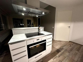 Spectacular Suite With Sauna in Rovaniemi
